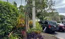 1860 Venice Park Dr #101 Photo