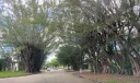 370 E Laurel Dr #3 E Photo