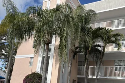 Front of Structure