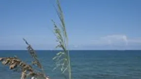 Frenchman’s Creek | Area Amenities | Frenchmans Creek | Jeff Lichtenstein