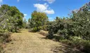 Sw Photo