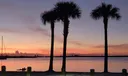 5 Harbour Isle Drive E #104 Photo