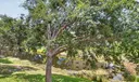 9826 Marina Boulevard #1029 Photo