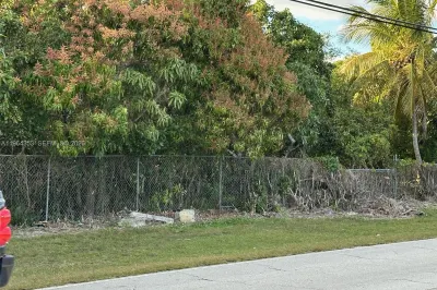 Yard