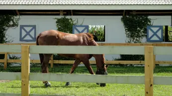 Equestrian Communities in North Palm Beach
