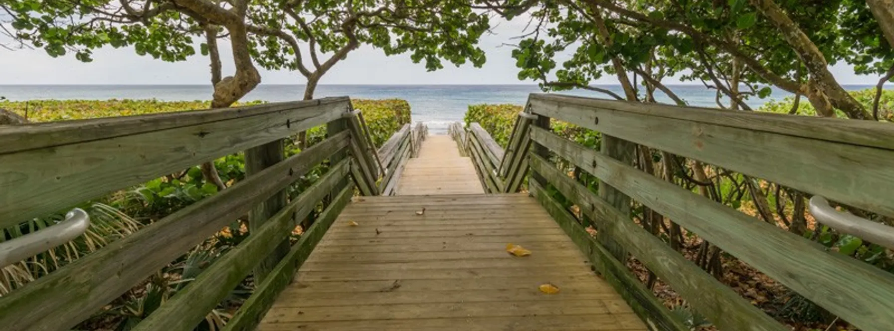 Palm Beach Places Unknown | ‘Dog Beach’