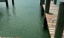 Slip 6