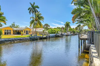 Enjoy jumping fish in Sandy Lane canal