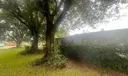 2622 Newport Drive Photo