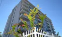 2016 BAY DR #701 Photo