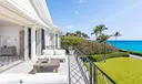101 Jungle Road Photo