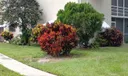 2647 N Garden Drive #110 Photo