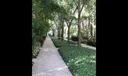 319 Flamingo Drive Photo