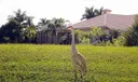 8794 Lakes Boulevard Photo
