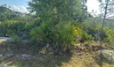 6022 Nevada St Photo