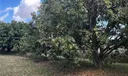 Sw Photo