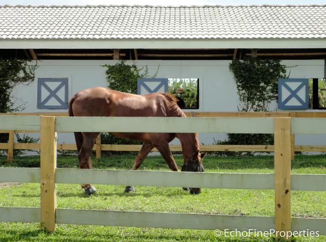 Isla Carroll Polo & Residences: Equestrian Living Planned for Wellington