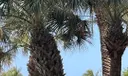 View from the balcony