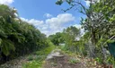 20650 Old Cutler Rd Photo