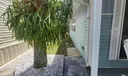 Nice Landscaping