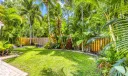 Fenced tropical garden