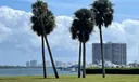 1660 Twelve Oaks Way #201 Photo