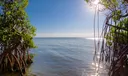 7683 Pelican Pointe Drive Photo