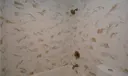 5100 Dupont Blvd #6G Photo