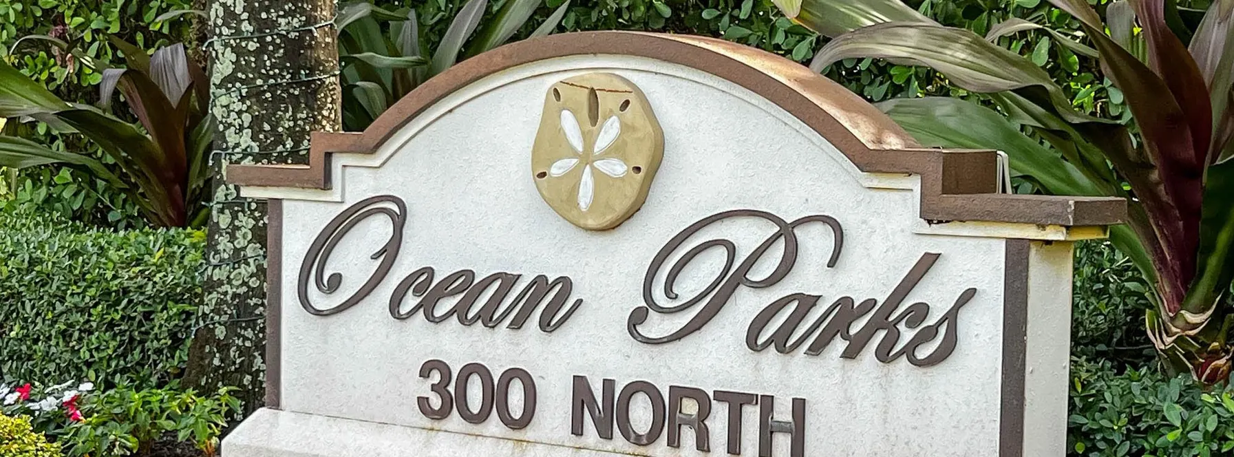 Homes Sold By Jeff Lichtenstein in Ocean Parks