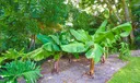 7351 Valencia Drive Photo