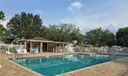 453 Dahoon Holly Dr Photo