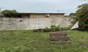 Side of Yard