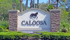 Homes Sold By Jeff Lichtenstein in Caloosa