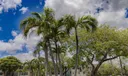 4980 E Sabal Palm Boulevard E #124 Photo
