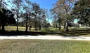 Golf view