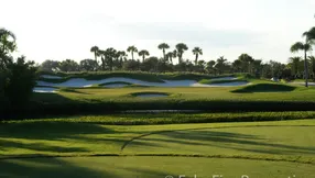 Which Agent Sells the Most in Luxury Country Clubs in Palm Beach County?