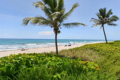 Ocean View