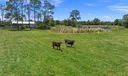 2393 SW Trailside Path Photo