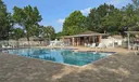 453 Dahoon Holly Dr Photo