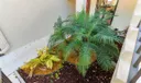 5188 Oak Hill Lane #1121 Photo