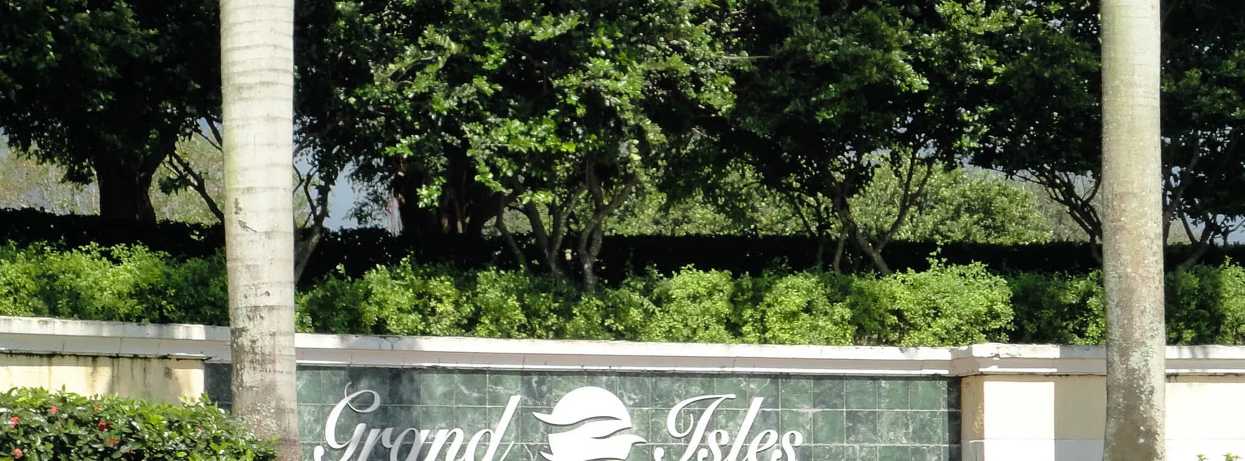 Best Real Estate Agent in Grand Isles, Wellington