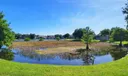 6579 Pavone Street Photo
