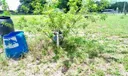 Okeechobee Land Photo