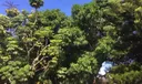 18202 NE 25th Pl #02 Photo