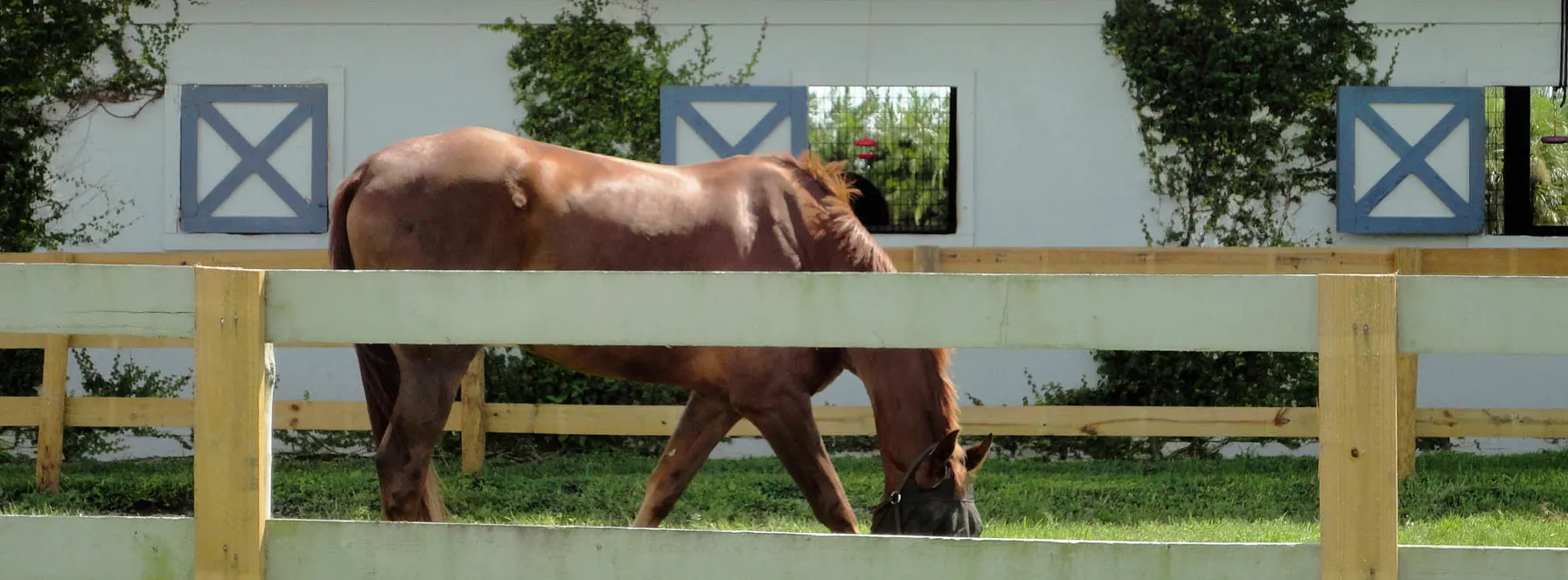 Isla Carroll Polo & Residences: Equestrian Living Planned for Wellington