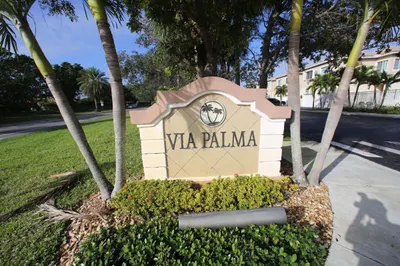 foto de palma