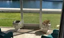 13105 Ixora Ct #102 Photo