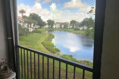 VIEW FROM PATIO