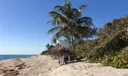 3912 S Ocean Boulevard #603 Photo