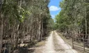 13401 Northlake Blvd Photo